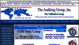 What Auditing.com website looked like in 2018 (5 years ago)