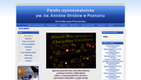 What Aniol.org.pl website looked like in 2018 (5 years ago)