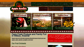 What Appleannies.com website looked like in 2018 (5 years ago)