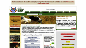 What Atcperugia2.it website looked like in 2018 (5 years ago)