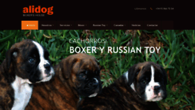What Alidog.com website looked like in 2018 (5 years ago)