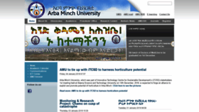 What Amu.edu.et website looked like in 2019 (5 years ago)