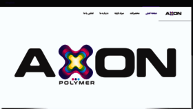 What Axonpolymer.com website looked like in 2019 (5 years ago)