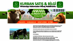 What Ankarakurbansatisi.com website looked like in 2019 (5 years ago)