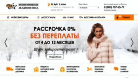 What Akademiameha.ru website looked like in 2019 (5 years ago)