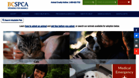What Adopt.spca.bc.ca website looked like in 2019 (5 years ago)