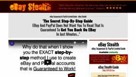 What Auctionstealth.com website looked like in 2019 (5 years ago)