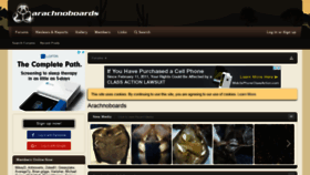 What Arachnoboards.com website looked like in 2019 (5 years ago)