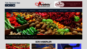 What Anadoluizlenimleri.com website looked like in 2019 (5 years ago)