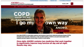What Anoro.com website looked like in 2019 (5 years ago)