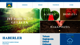 What Agroeast.com.tr website looked like in 2019 (5 years ago)