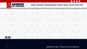 What Akdenizhalitemizleme.com website looked like in 2019 (5 years ago)
