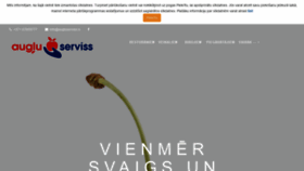 What Augluserviss.lv website looked like in 2019 (5 years ago)