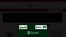 What Altinofisi.com website looked like in 2019 (5 years ago)
