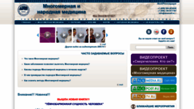 What Ansmedia.ru website looked like in 2019 (5 years ago)