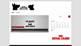 What Azenger.com website looked like in 2019 (5 years ago)