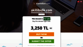 What Akillibidik.com website looked like in 2019 (5 years ago)