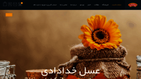 What Asalekhodadadi.com website looked like in 2019 (4 years ago)