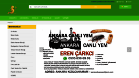 What Ankaracanliyem.com website looked like in 2019 (4 years ago)
