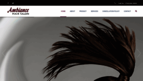 What Ambiancehairsalon.com website looked like in 2019 (4 years ago)