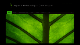 What Aspenlandscaping.net website looked like in 2019 (4 years ago)