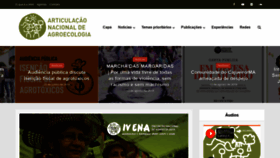 What Agroecologia.org.br website looked like in 2019 (4 years ago)