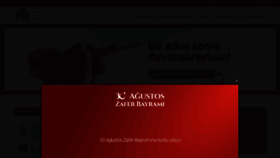 What Ayvansaray.edu.tr website looked like in 2019 (4 years ago)