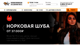 What Akademiameha.ru website looked like in 2019 (4 years ago)