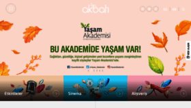 What Akbati.com website looked like in 2019 (4 years ago)