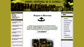 What Amergou.com website looked like in 2019 (4 years ago)