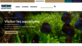 What Aquarium-portedoree.fr website looked like in 2019 (4 years ago)