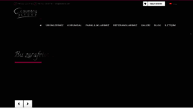 What Arteknik.com website looked like in 2019 (4 years ago)
