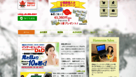 What Amateras.jp website looked like in 2019 (4 years ago)