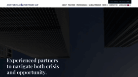 What Amsterdamandpartners.com website looked like in 2019 (4 years ago)