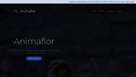 What Animaflor.net website looked like in 2019 (4 years ago)