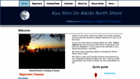 What Aikido.net.nz website looked like in 2019 (5 years ago)