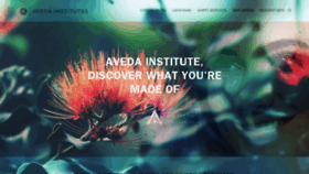 What Avedainstituteny.com website looked like in 2019 (4 years ago)
