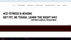 What Acefitnessboxing.com website looked like in 2019 (4 years ago)