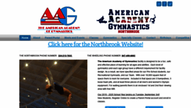 What Aagymnastics.com website looked like in 2019 (4 years ago)