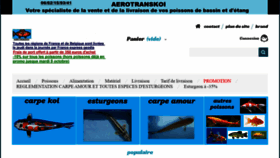 What Aerotranskoi.fr website looked like in 2019 (4 years ago)