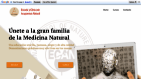 What Acupunturanatural.com website looked like in 2019 (4 years ago)
