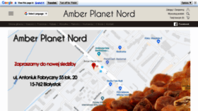 What Amberplanet.pl website looked like in 2019 (4 years ago)