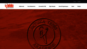 What Antuka.com.tr website looked like in 2019 (4 years ago)