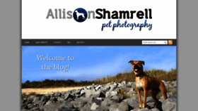 What Allisonshamrellblog.com website looked like in 2019 (4 years ago)