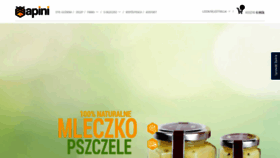 What Apini.pl website looked like in 2019 (4 years ago)