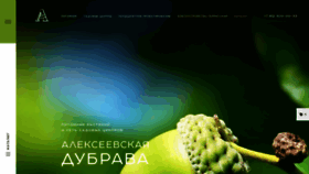 What A-dubrava.ru website looked like in 2019 (4 years ago)