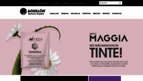 What Aguillon.com.mx website looked like in 2019 (4 years ago)