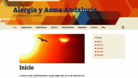 What Alergiayasma.es website looked like in 2019 (4 years ago)