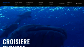 What Andamancoraldivers.com website looked like in 2019 (4 years ago)
