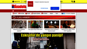 What Anadolugazetesi.net website looked like in 2019 (4 years ago)